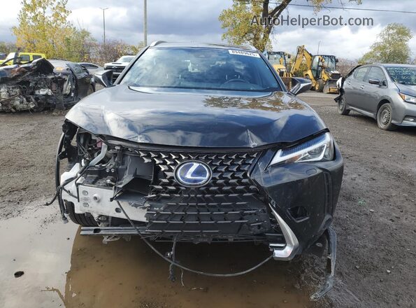 JTHL9JBH2M2043856 2021 LEXUS UX Черный Вид спереди