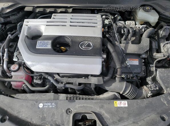 JTHL9JBH2M2043856 2021 LEXUS UX Черный Вид задней части салона