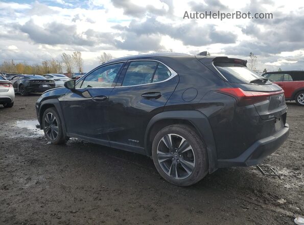 JTHL9JBH2M2043856 2021 LEXUS UX Черный Задняя левая четверть