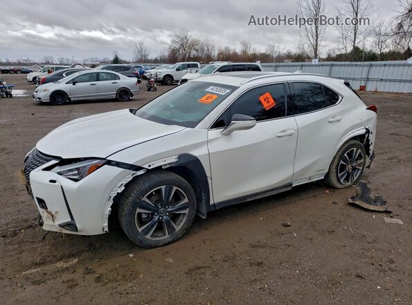 JTHL9JBH4M2049707 2021 LEXUS UX White Առջևի ձախ երեք քառորդ տեսարան