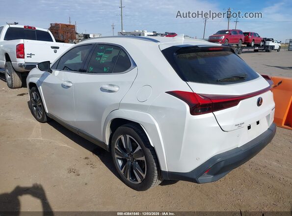 JTHP3JBH8N2047429 2022 LEXUS UX 200 White უკანა მარცხენა