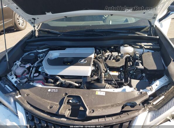 JTHP6JBH7R2192331 2024 LEXUS UX 250H White Вид ззаду