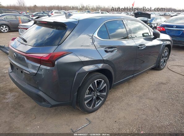 JTHP6JBH8R2192399 2024 LEXUS UX 250H Gray Հետևի աջ