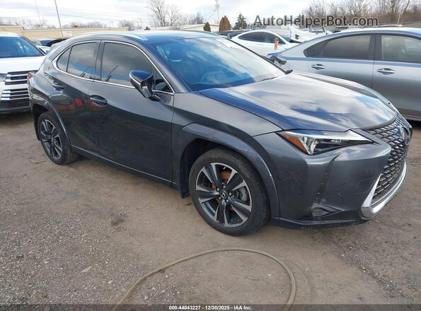 JTHP6JBH8R2192399 2024 LEXUS UX 250H Gray Առջևի աջ