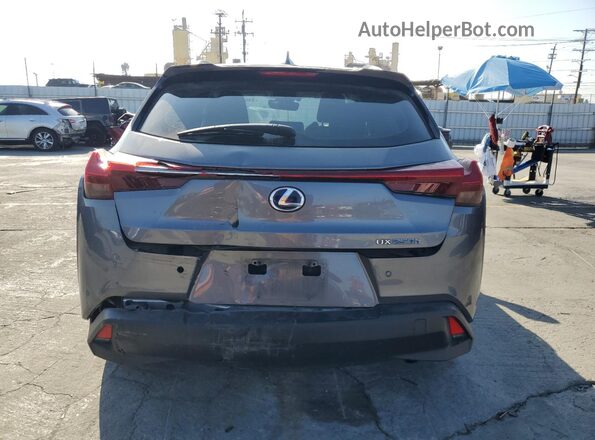 JTHP9JBH1L2024246 2020 LEXUS UX Gray Widok z tyłu