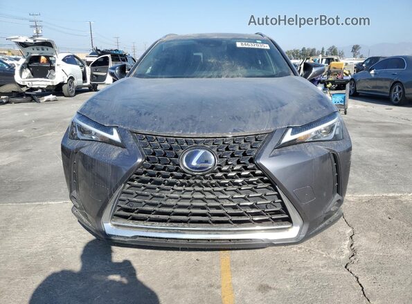 JTHP9JBH1L2024246 2020 LEXUS UX Gray Widok z przodu