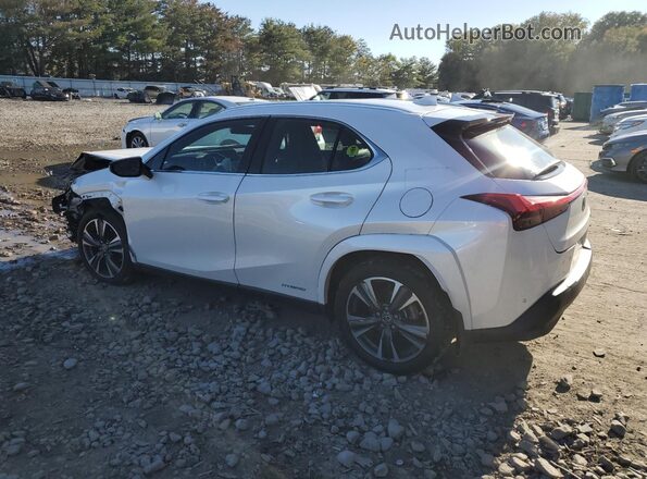 JTHP9JBH2N2055119 2022 LEXUS UX White Trasero izquierdo