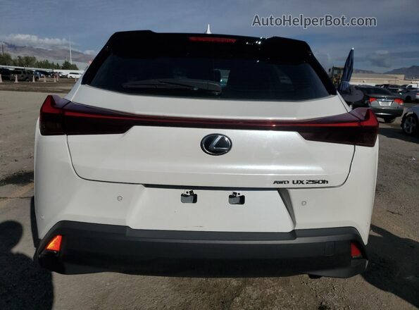 JTHP9JBH2P2070223 2023 LEXUS UX Белый Вид сзади