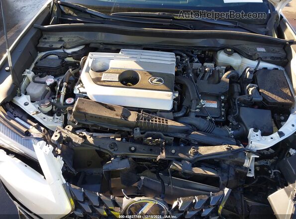 JTHP9JBH3L2034258 2020 LEXUS UX 250H White Widok z tyłu