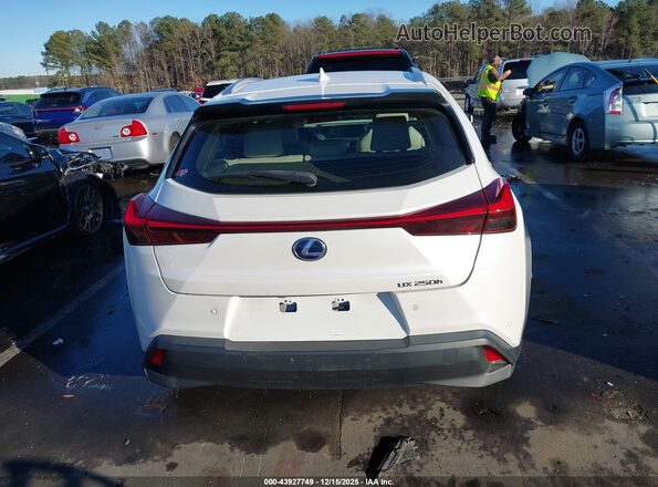 JTHP9JBH3L2034258 2020 LEXUS UX 250H White 
