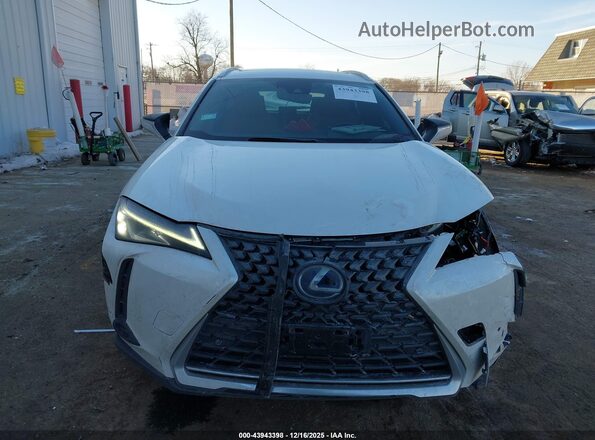 JTHP9JBH4L2029117 2020 LEXUS UX 250H Белый Вид задней части салона