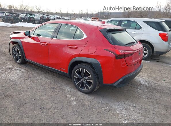 JTHP9JBH5L2029319 2020 LEXUS UX 250H Red Tył lewy