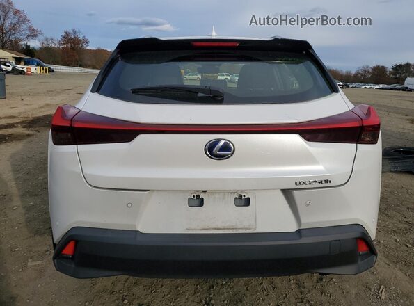 JTHP9JBH5M2047210 2021 LEXUS UX White Widok z tyłu