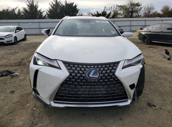 JTHP9JBH5M2047210 2021 LEXUS UX White Widok z przodu