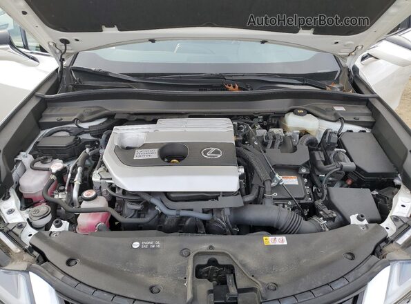 JTHP9JBH5M2047210 2021 LEXUS UX White Widok komory silnika