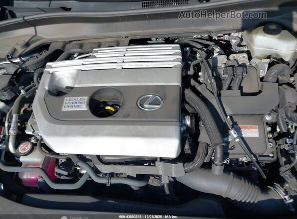JTHP9JBH7L2026860 2020 LEXUS UX 250H Champagne Widok z tyłu