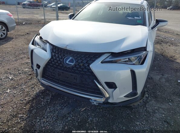 JTHP9JBH8M2042695 2021 LEXUS UX 250H White Vista frontal