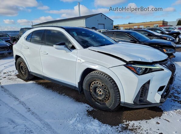 JTHR9JBH2P2066617 2023 LEXUS UX Белый Передняя правая четверть