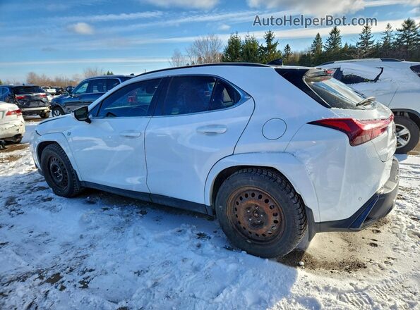 JTHR9JBH2P2066617 2023 LEXUS UX Белый Задняя левая четверть