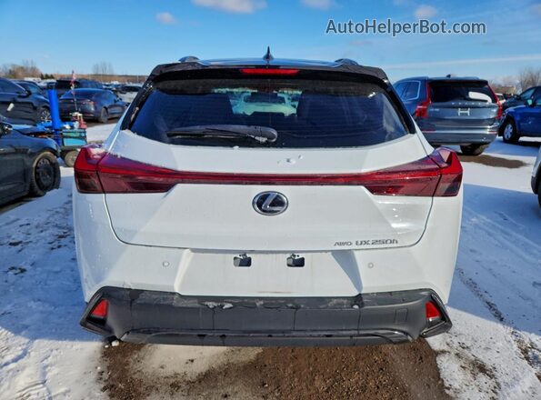 JTHR9JBH2P2066617 2023 LEXUS UX Белый Вид сзади