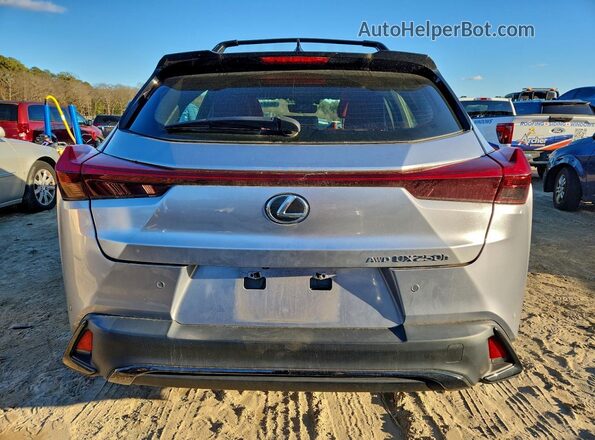 JTHR9JBH3P2065833 2023 LEXUS UX Серебряный Вид сзади