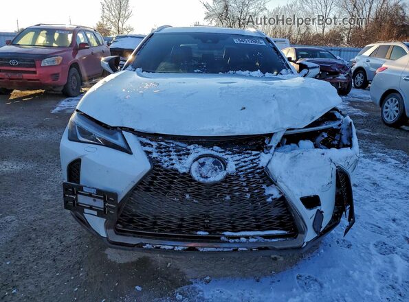 JTHR9JBH5M2037947 2021 LEXUS UX Белый Вид спереди