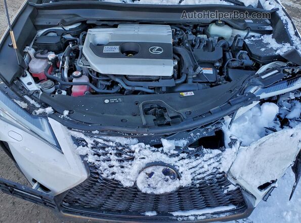 JTHR9JBH5M2037947 2021 LEXUS UX Белый Вид задней части салона