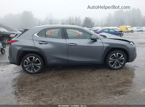 JTHU9JBH4K2014800 2019 LEXUS UX 250H Серый Вид задней части салона