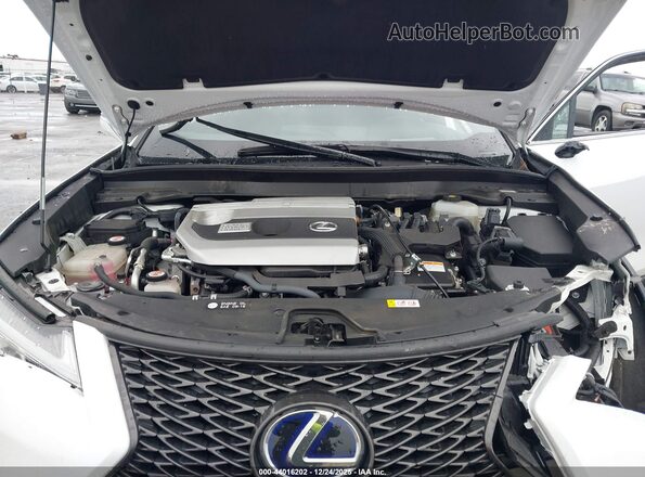 JTHU9JBH6K2011395 2019 LEXUS UX 250H Белый Вид сзади