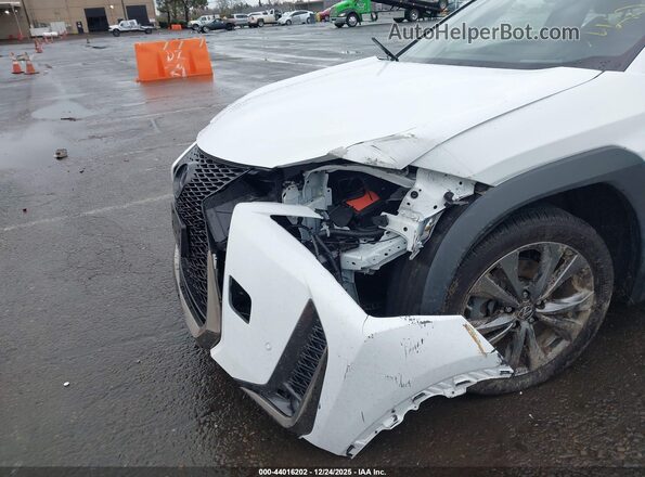 JTHU9JBH6K2011395 2019 LEXUS UX 250H Белый Вид спереди