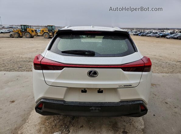 JTHU9JBHXK2007382 2019 LEXUS UX Белый Вид сзади