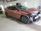 2025 Lexus Ux 300h Base Orange vin: JTHUCJDH7S2003952 Damage: Right Front Door, Dent(S) W/ Paint Dmg, > 12 Inches