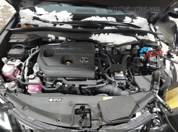 JTHUCJDH9S2006318 2025 LEXUS UX 300H Black Widok z tyłu