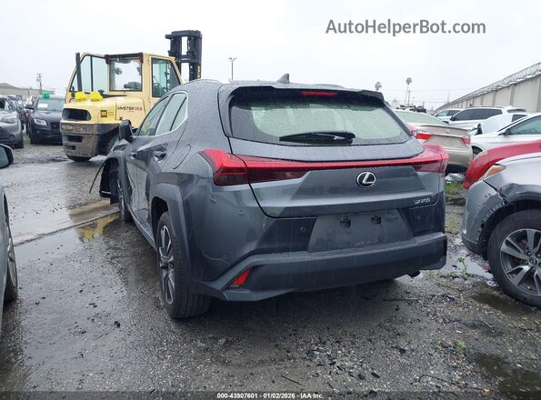 JTHX3JBH0N2049305 2022 LEXUS UX 200 Gray Задня ліва чверть