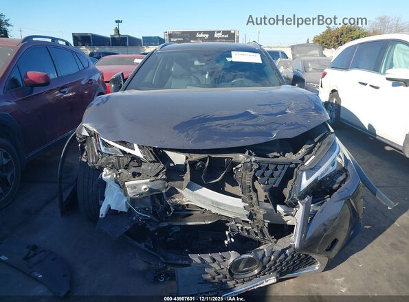 JTHX3JBH0N2049305 2022 LEXUS UX 200 Gray Вид задньої частини салону