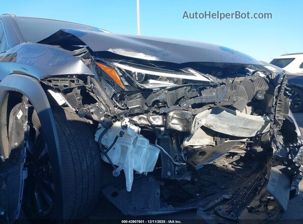 JTHX3JBH0N2049305 2022 LEXUS UX 200 Gray Вид щитка приладів