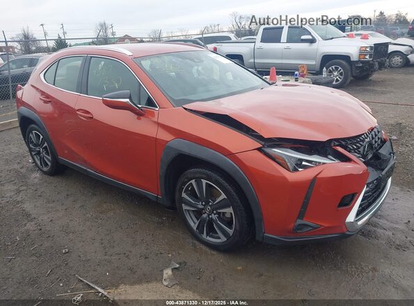 JTHX3JBH9M2033926 2021 LEXUS UX 200 Orange წინა მარჯვენა