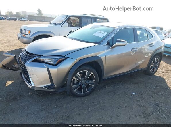 JTHX3JBH9M2040925 2021 LEXUS UX 200 Gray Передня ліва чверть
