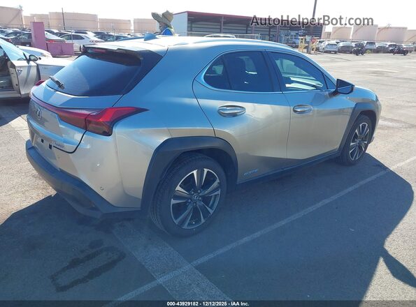 JTHX6JBH0L2046585 2020 LEXUS UX 250H Серый Задняя правая четверть