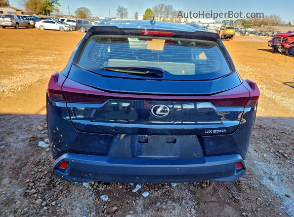 JTHX6JBHXR2193117 2024 LEXUS UX Black Rear view