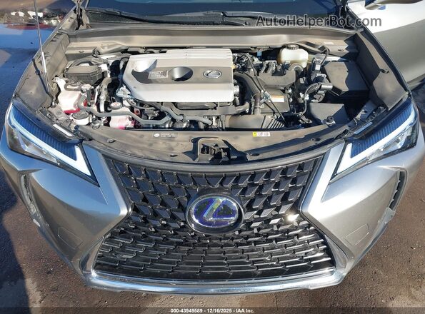 JTHX9JBH4M2042337 2021 LEXUS UX 250H Silver Widok z tyłu