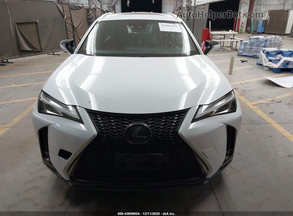 JTHY3JBH6K2003638 2019 LEXUS UX 200 White Instrument cluster view