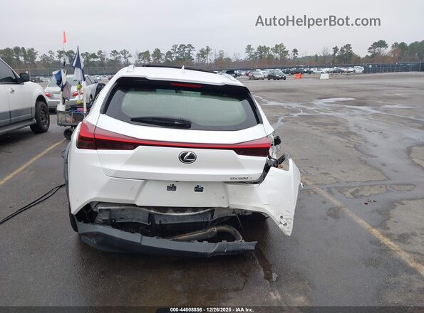 JTHY3JBH6K2007172 2019 LEXUS UX 200 Белый 