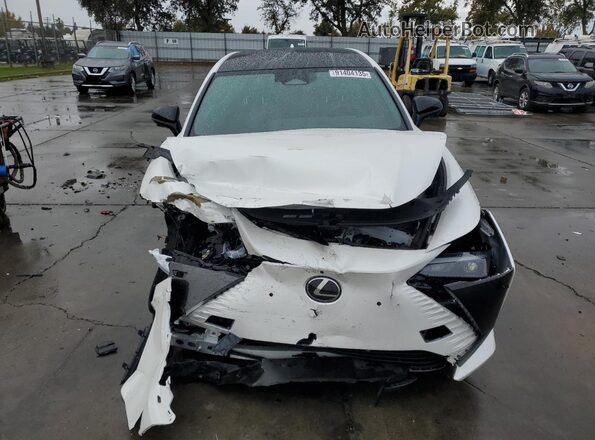 JTJAAAAB6SA030816 2025 LEXUS RZ Белый Вид спереди
