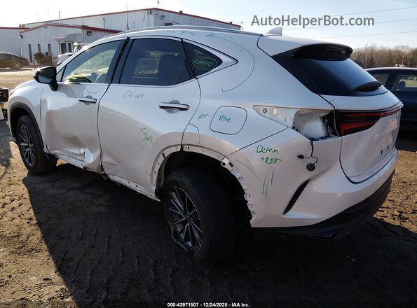JTJADCAZ4R2008446 2024 LEXUS NX 250 Белый Задняя левая четверть