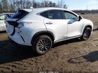 2024 Lexus Nx 250   Белый vin: JTJADCAZ4R2008446