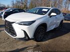 2024 Lexus Nx 250   Белый vin: JTJADCAZ4R2008446