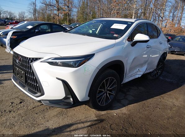 JTJADCAZ4R2008446 2024 LEXUS NX 250 Белый Передняя левая четверть
