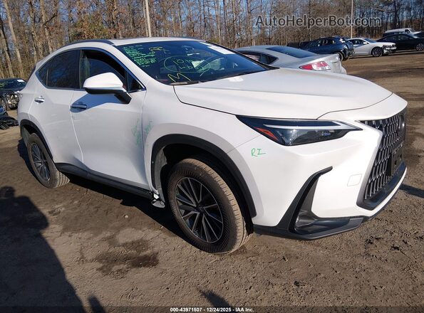 JTJADCAZ4R2008446 2024 LEXUS NX 250 Белый Передняя правая четверть