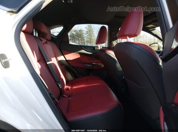 JTJADCAZ4R2008446 2024 LEXUS NX 250 Белый Вид наклейки с VIN-кодом